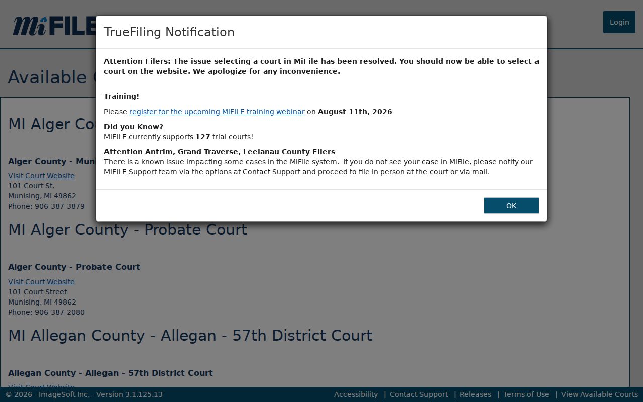 Lake County case lookup and MiFILE court availability