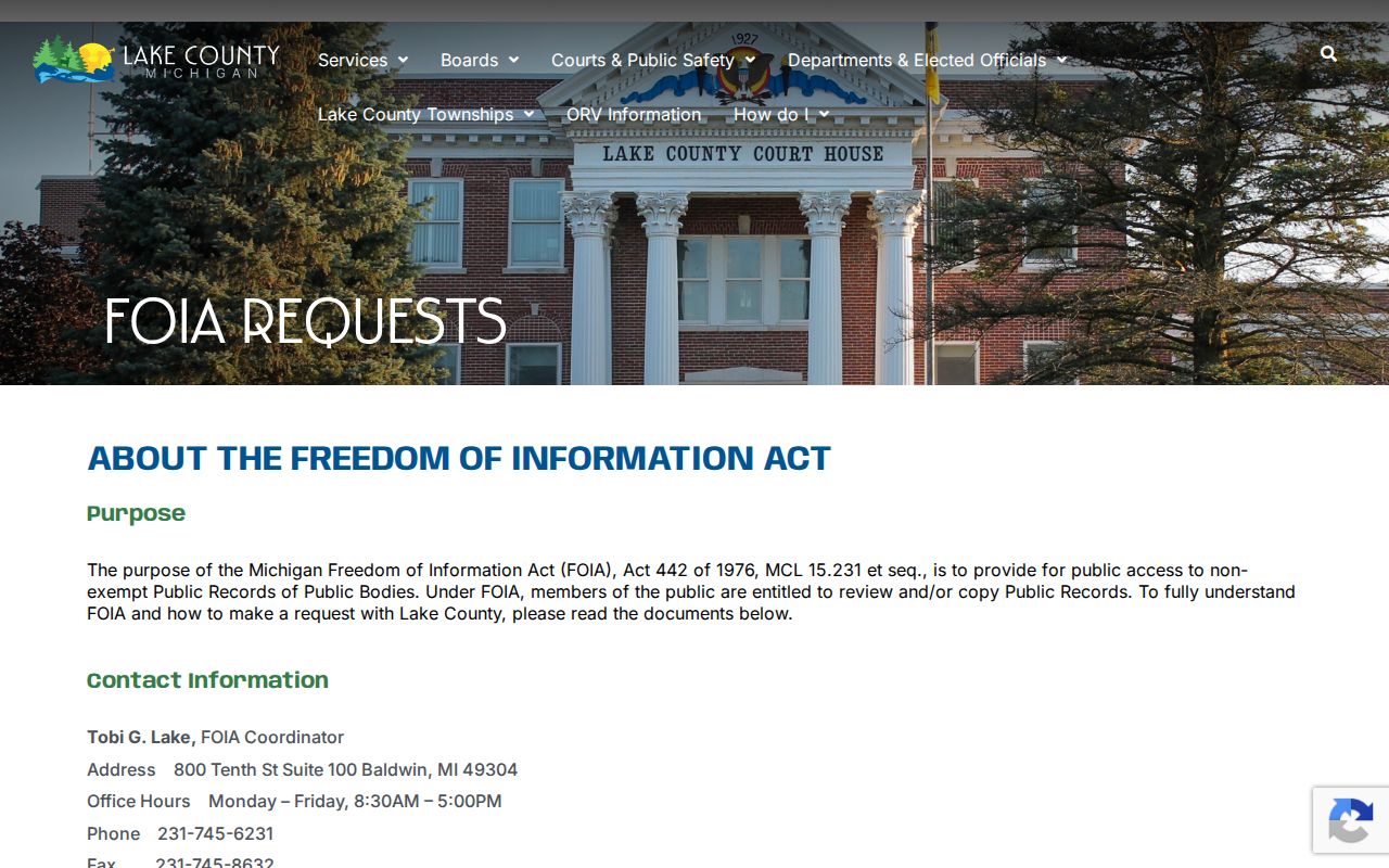 Lake County court record FOIA form distinction and record type choices